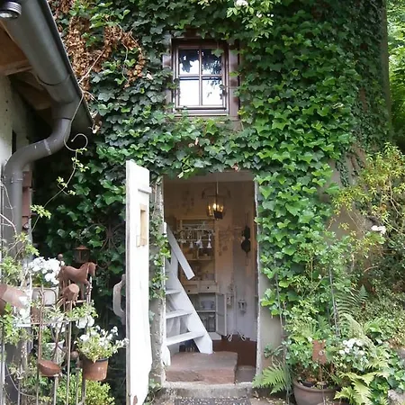 Vier Jahreszeiten Idyll Schuttertal Exterior foto