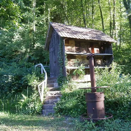 Vier Jahreszeiten Idyll Schuttertal Exterior foto