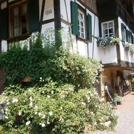 Vier Jahreszeiten Idyll Schuttertal Exterior foto